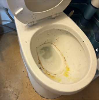 Toilet before deep cleaning in Abbotsford. Stained bowl and dirty floor